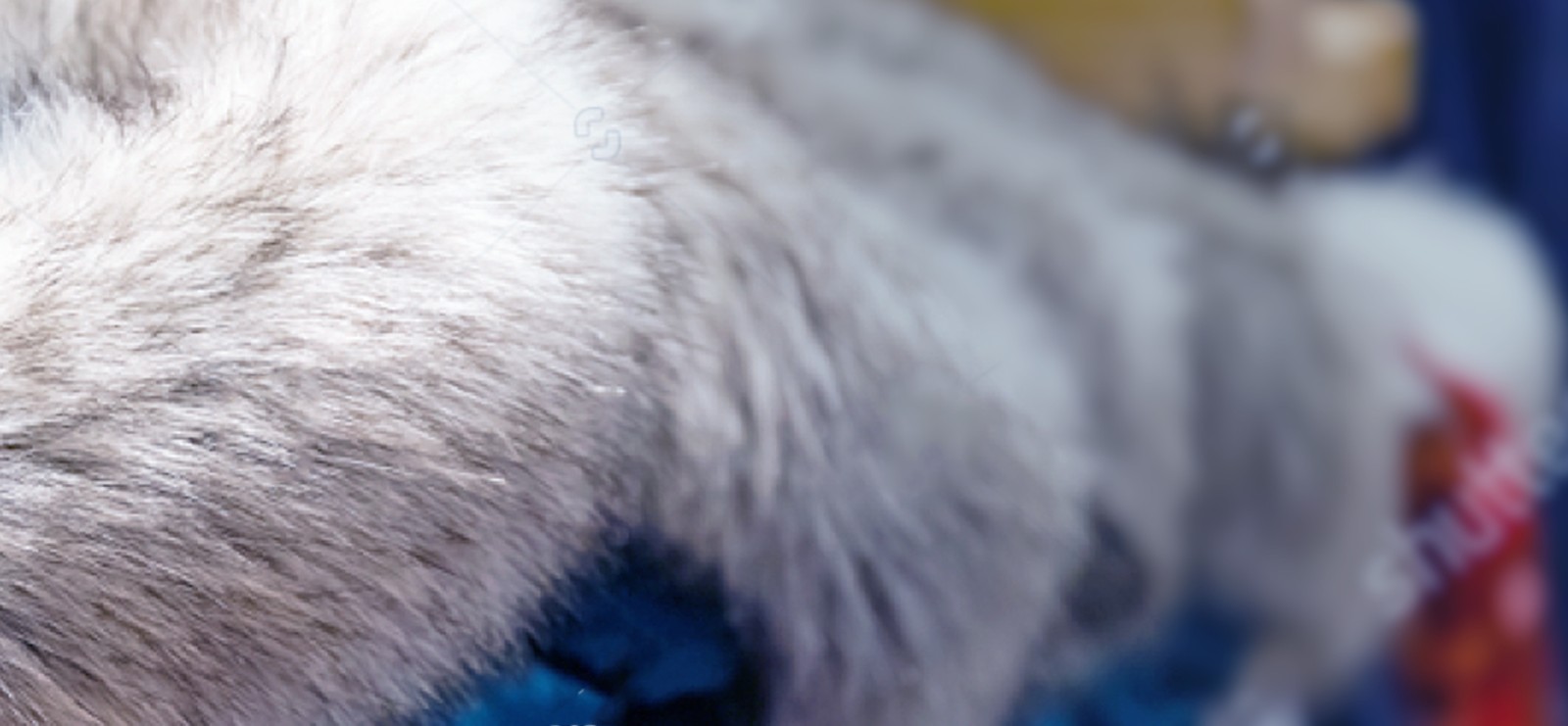 1606983939607700.jpg yewulingyu_fangzhi1.jpg