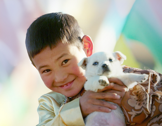 1606983957650915.jpg yewulingyu_fangzhi2.jpg